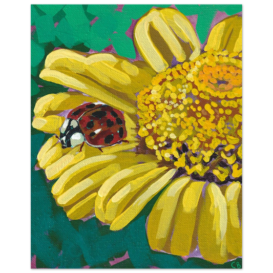 06b29eaa-7544-41ed-9eae-cda4380f39a6