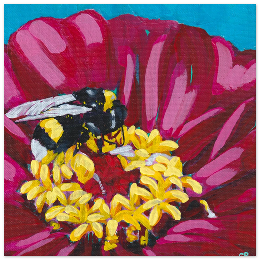 52b7e4ce-9856-4e9b-ba55-f98c93753d70