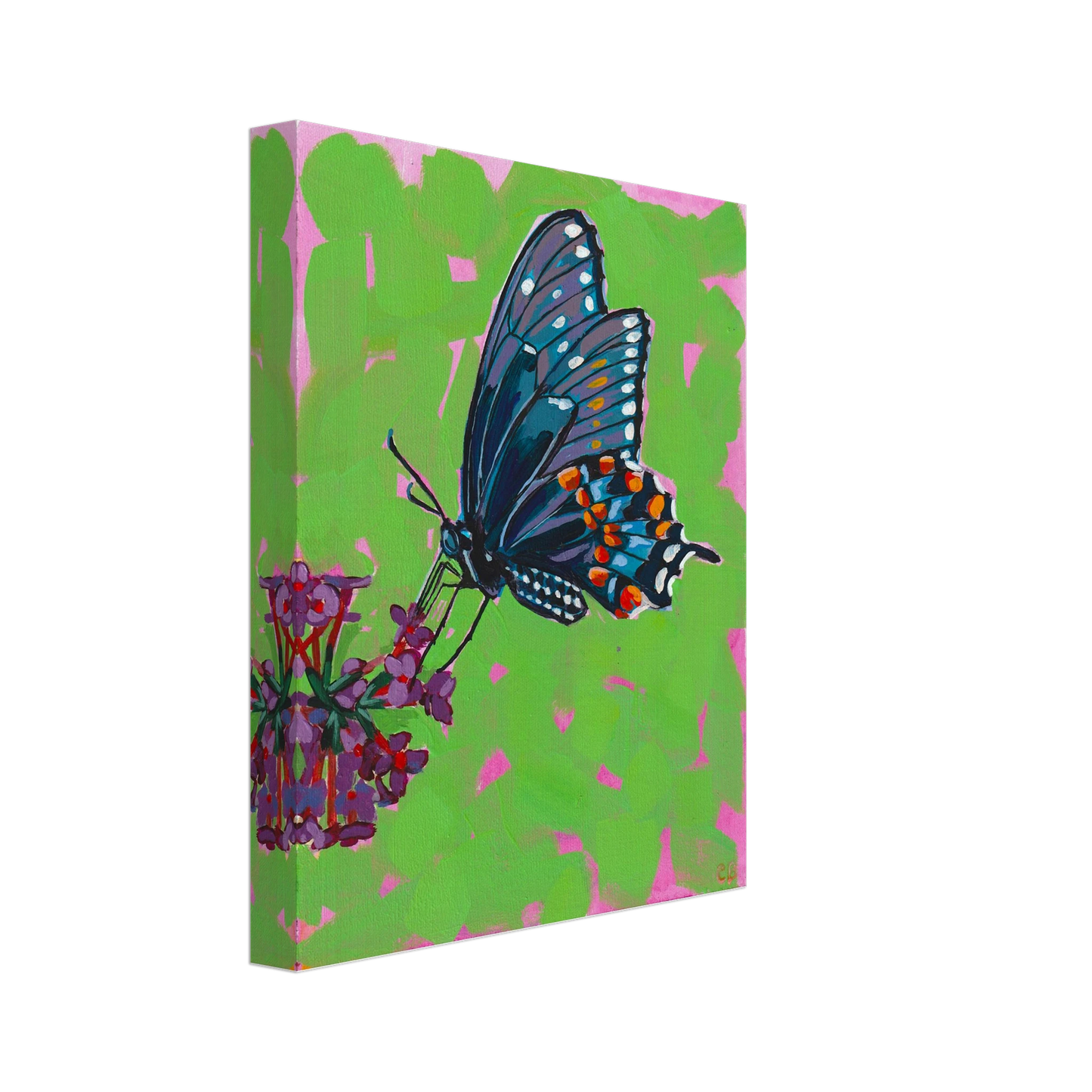 91cc5cc5-067c-4642-892c-56e340ef2c5d