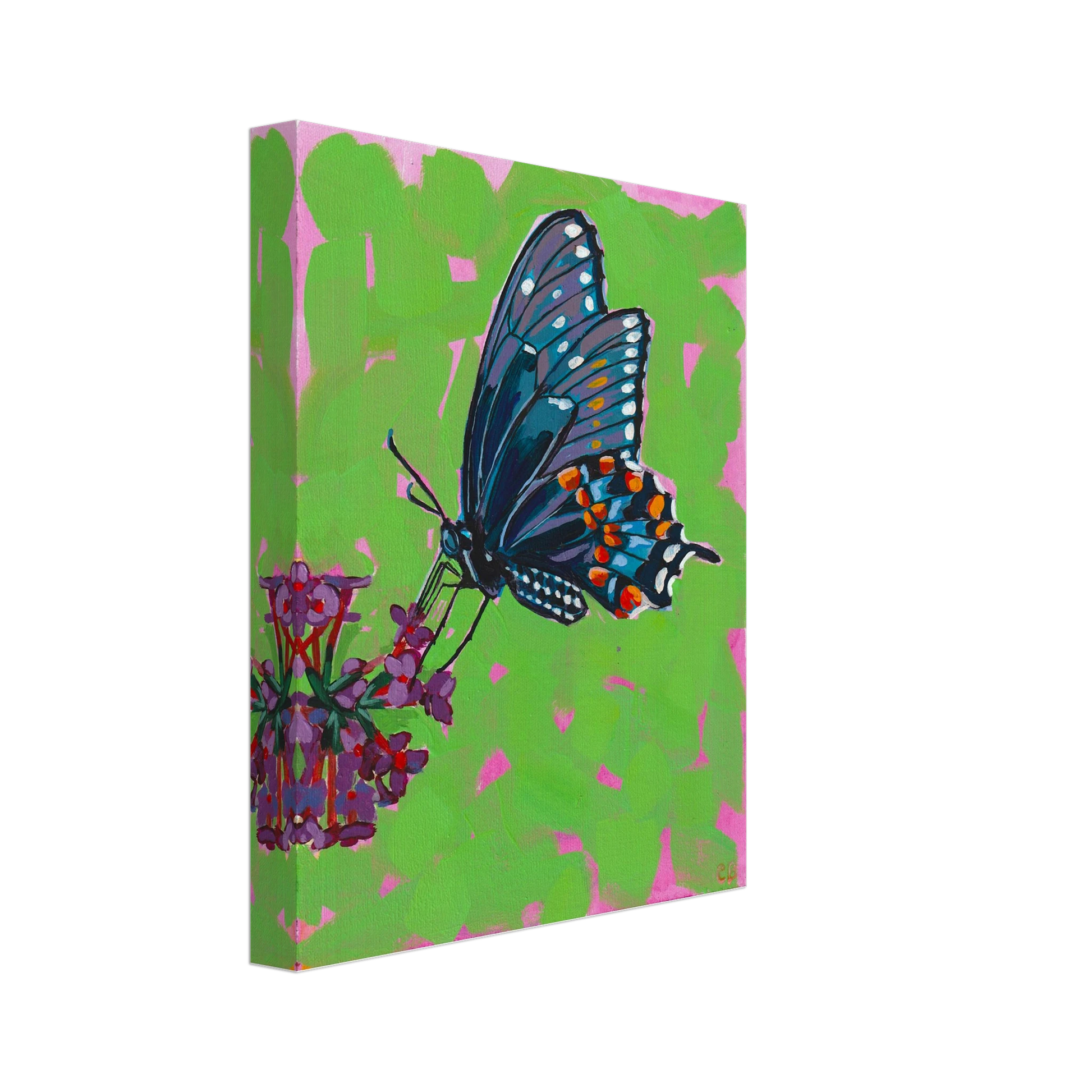 91cc5cc5-067c-4642-892c-56e340ef2c5d