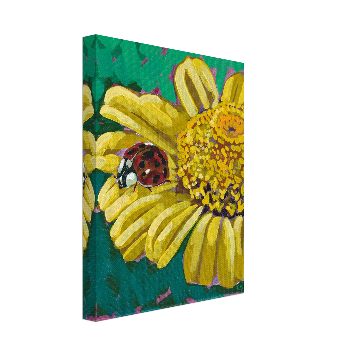 cf8f6293-5092-455d-8f79-006312c979bb