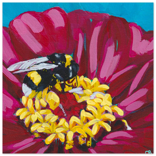 e998c889-3bda-4ac5-bc3a-b6d8abaa0c2f